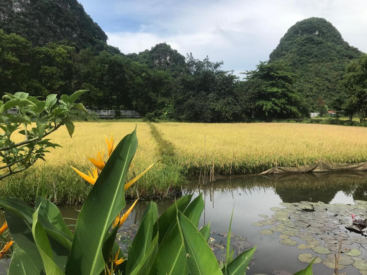 Appartamento Tam Coc Eco House Ninh Binh Esterno foto