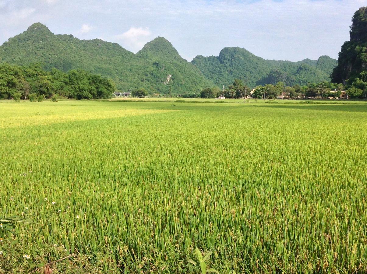 Appartamento Tam Coc Eco House Ninh Binh Esterno foto