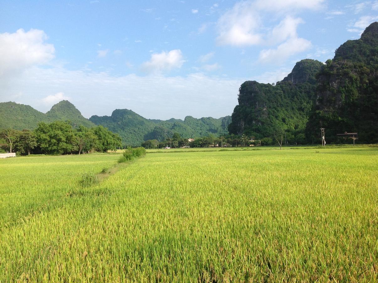 Appartamento Tam Coc Eco House Ninh Binh Esterno foto