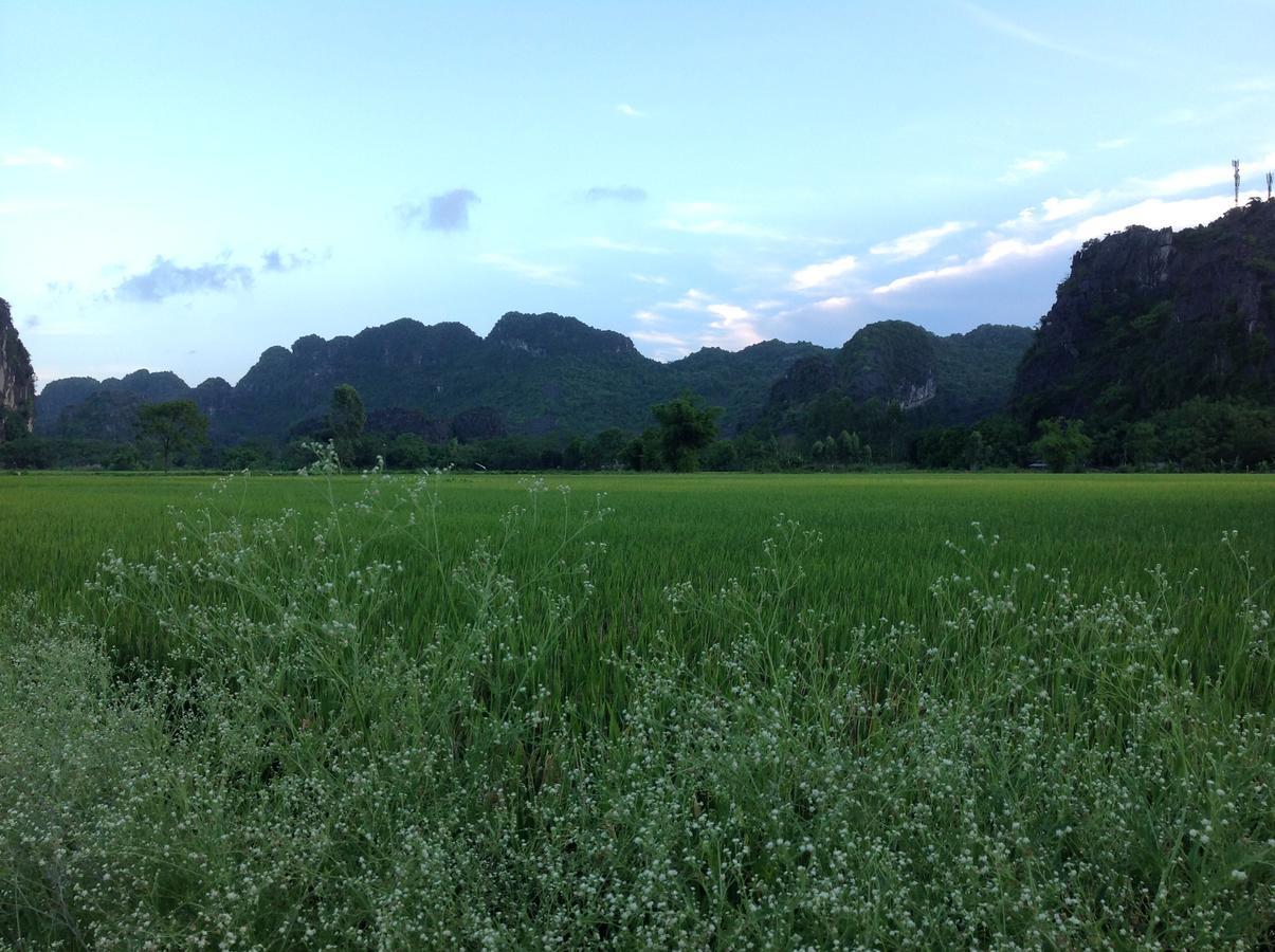 Appartamento Tam Coc Eco House Ninh Binh Esterno foto