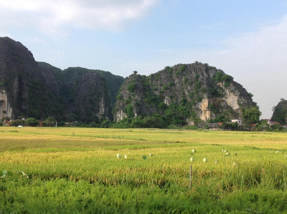 Appartamento Tam Coc Eco House Ninh Binh Esterno foto