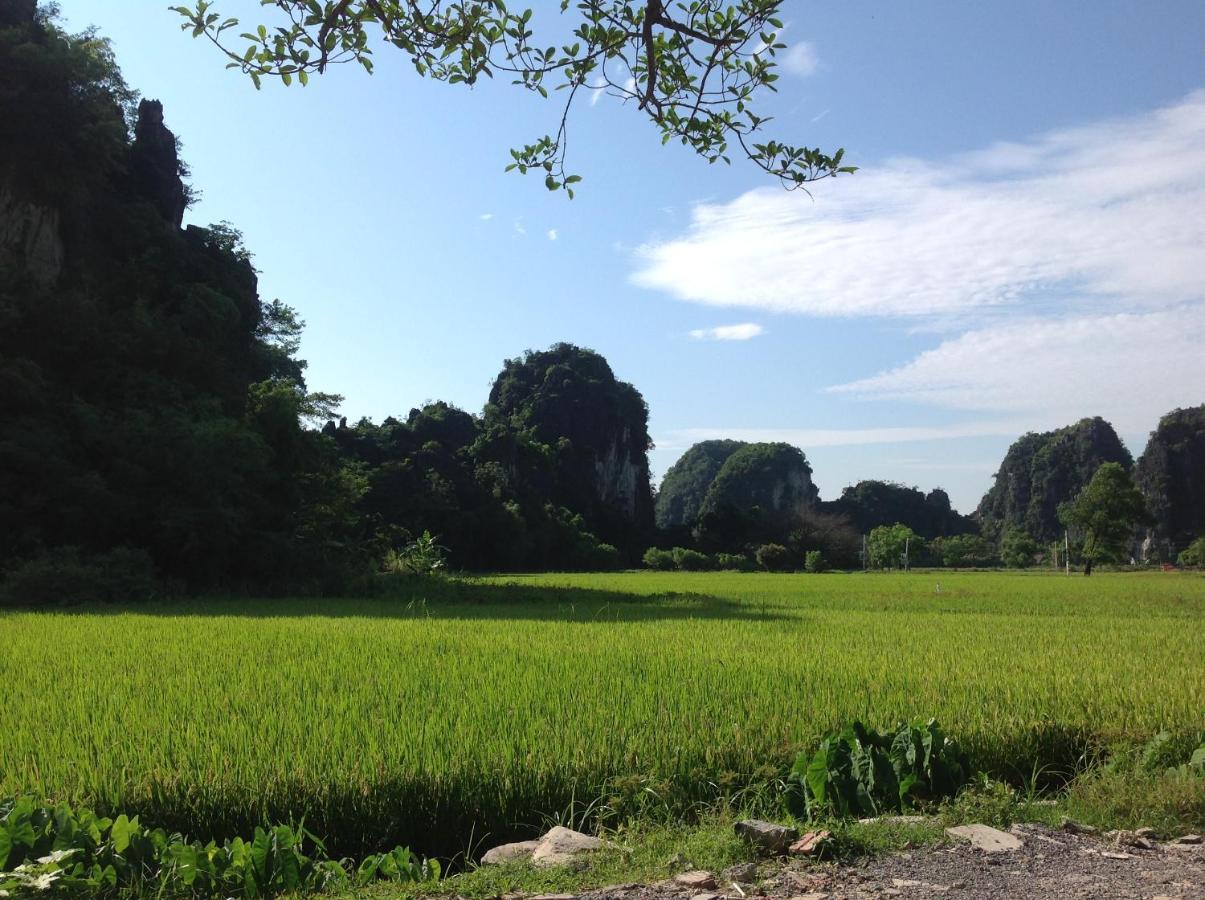 Appartamento Tam Coc Eco House Ninh Binh Esterno foto